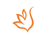 河源市菲梵經典SPA美容會所營銷型網(wǎng)站建設案例